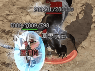 热血传奇sf 热血传奇sf